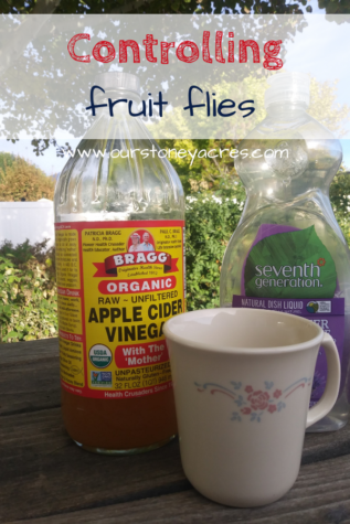 Organic method for controlling fruit flies - Our Stoney Acres