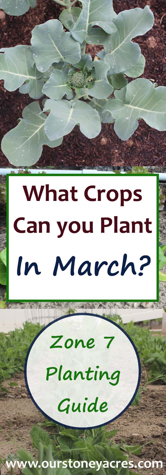 March Planting Guide For Zone 7 Our Stoney Acres
