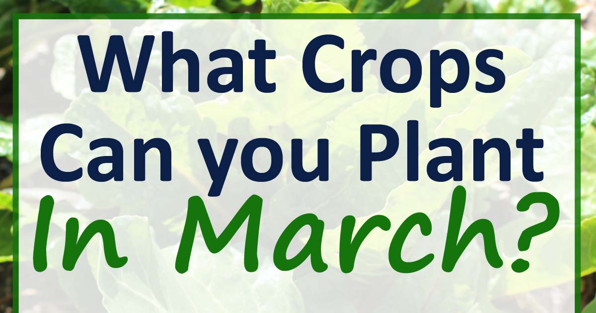 March Planting Guide For Zone 7 Our Stoney Acres
