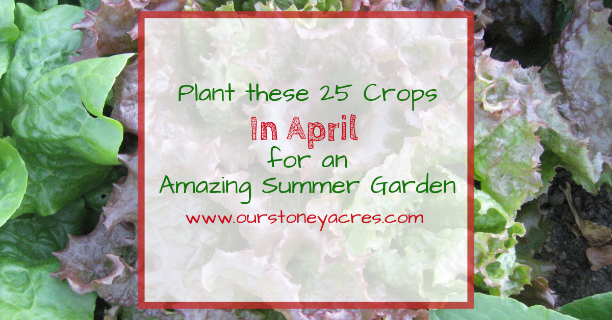 November Planting Guide Zones 5 6 Our Stoney Acres