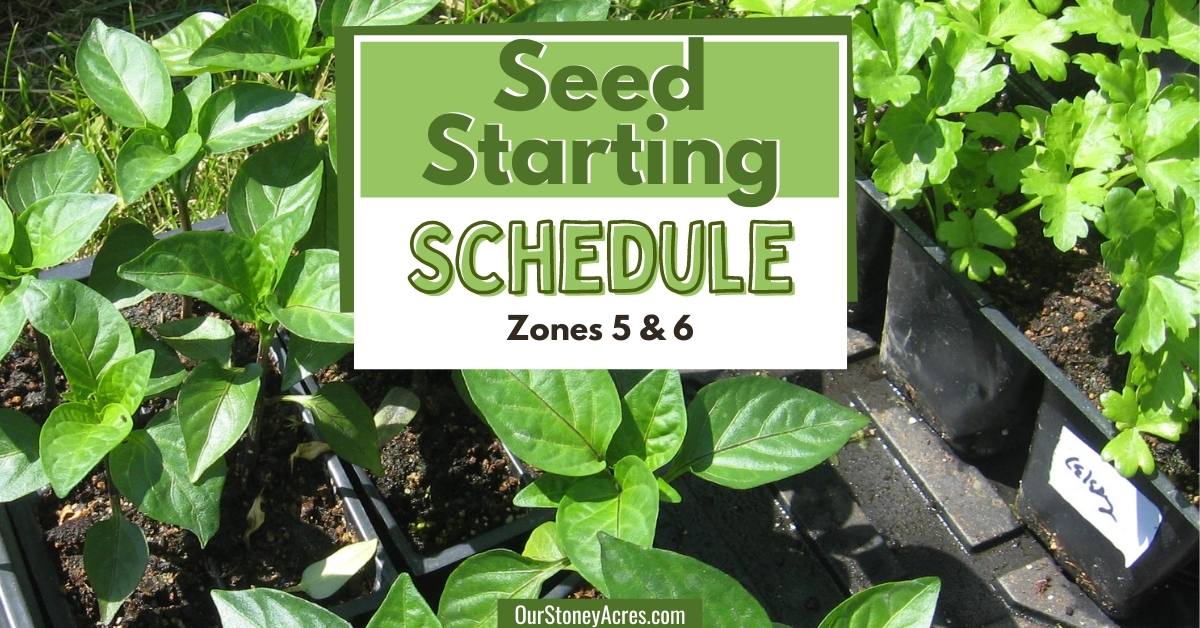 Zone 5/6 Seed Starting Schedule - Our Stoney Acres